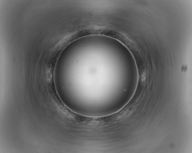 X0000092291204200709141253