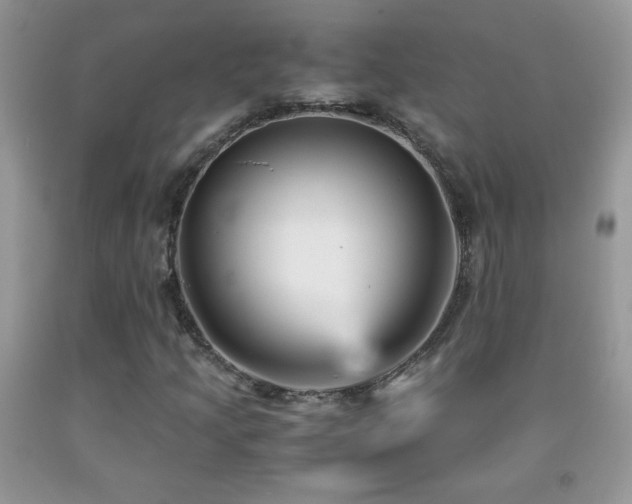 X0000092291205200709141253