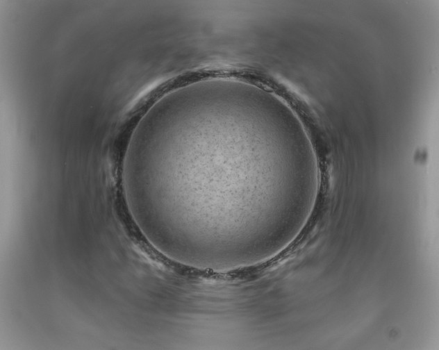 X0000092291206200709141253