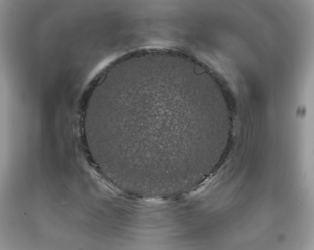 X0000092291208200709141253