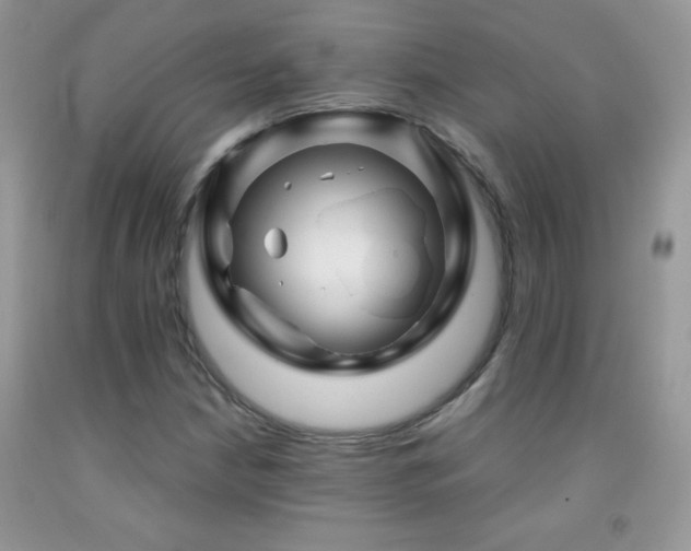 X0000092291210200709141253