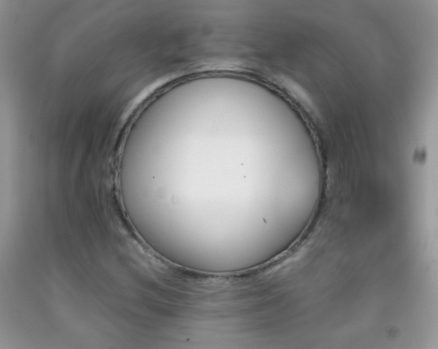 X0000092291212200709141253