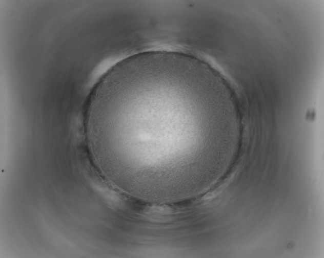 X0000092291215200709141253