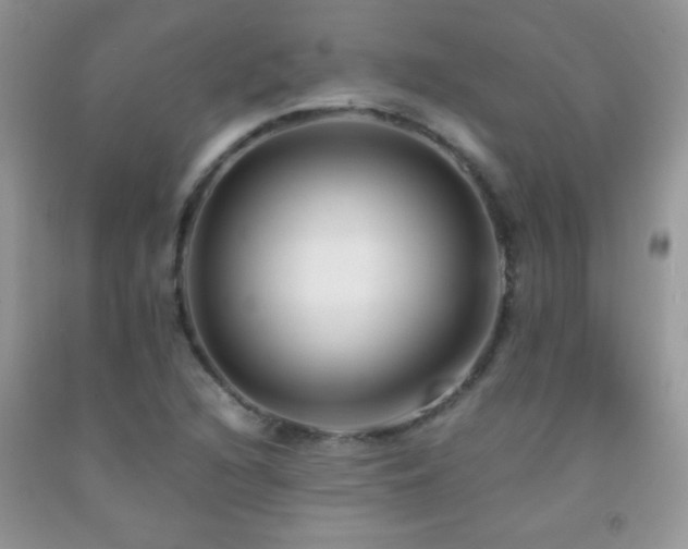 X0000092291216200709141253