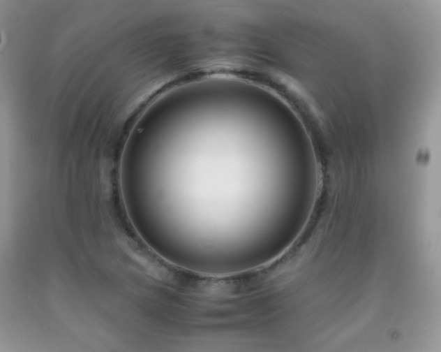 X0000092291217200709141253