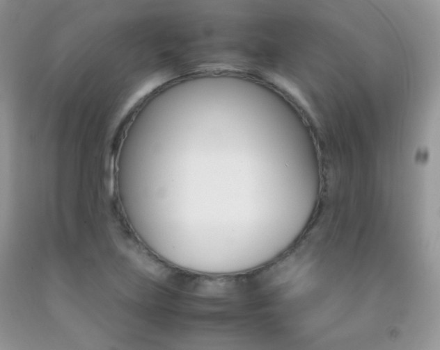 X0000092291219200709141253