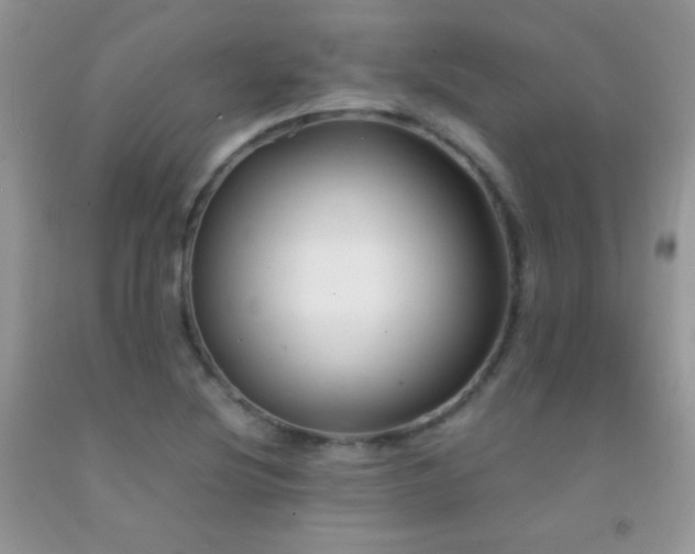 X0000092291220200709141253