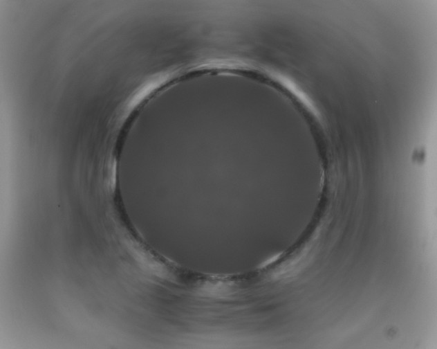 X0000092291221200709141253