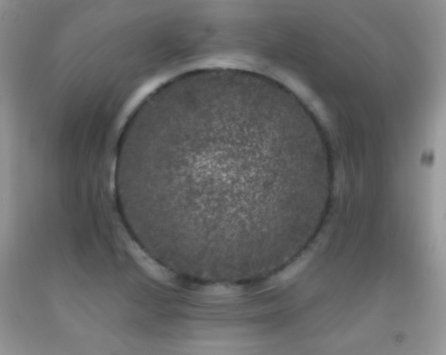 X0000092291224200709141253