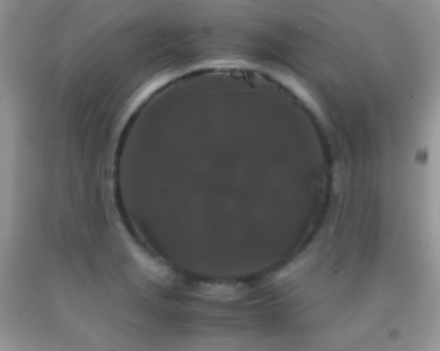 X0000092291229200709141253