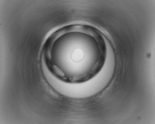 X0000092291230200709141253