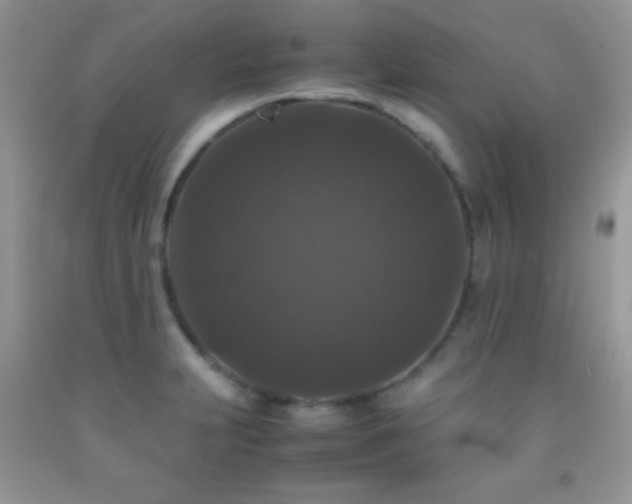 X0000092291231200709141253