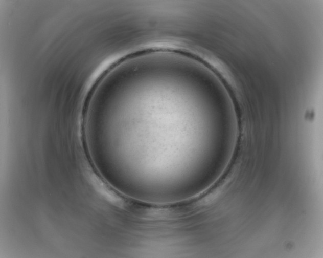 X0000092291232200709141253