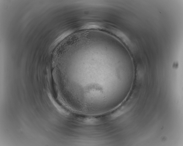 X0000092291233200709141253