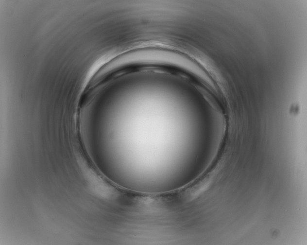 X0000092291234200709141253