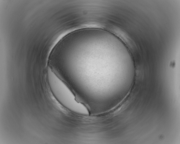 X0000092291236200709141253