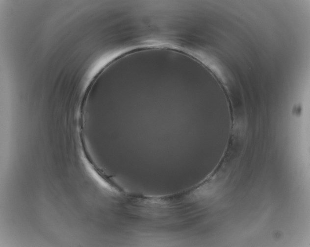 X0000092291239200709141253
