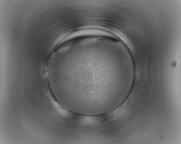 X0000092291241200709141253