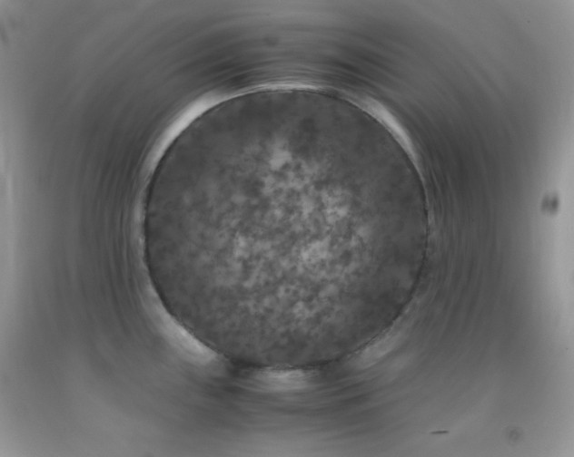 X0000092291243200709141253