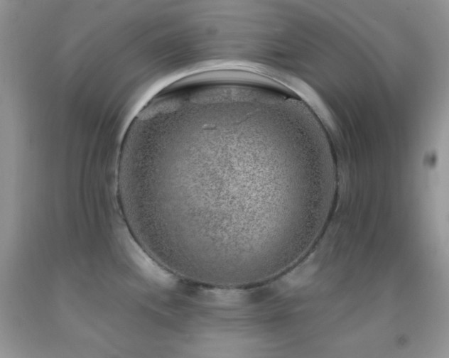 X0000092291244200709141253