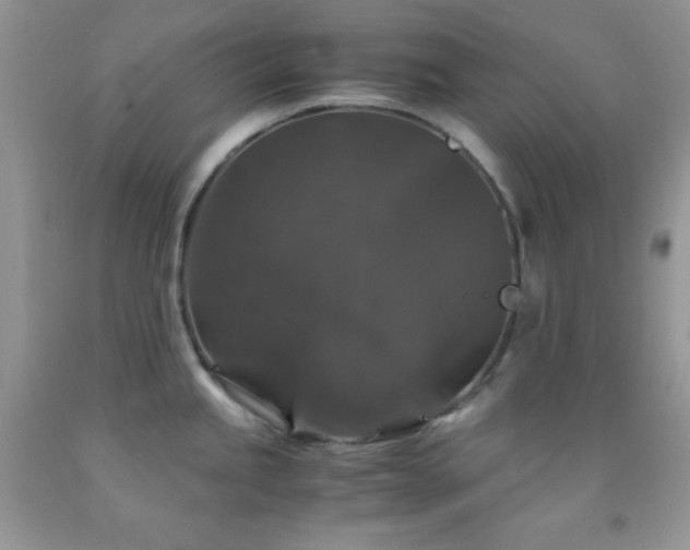 X0000092291245200709141253