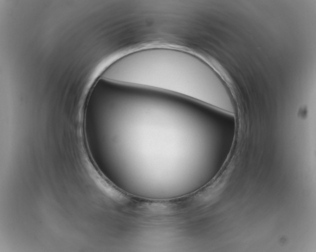 X0000092291246200709141253