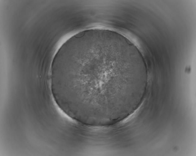 X0000092291247200709141253