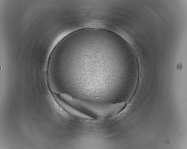 X0000092291248200709141253
