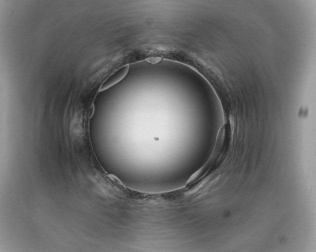 X0000092291250200709141253