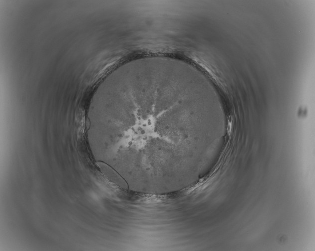 X0000092291251200709141252