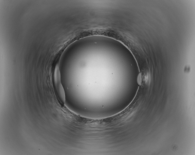 X0000092291252200709141252