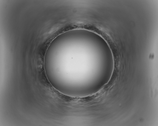 X0000092291253200709141252