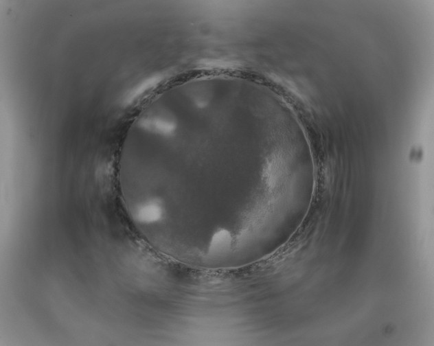 X0000092291254200709141252
