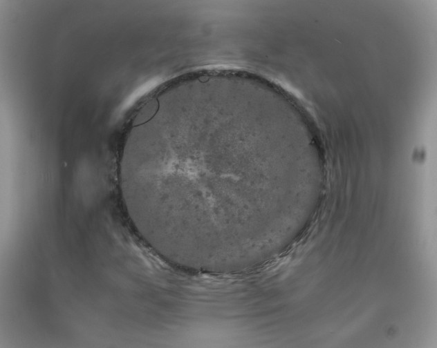 X0000092291255200709141252