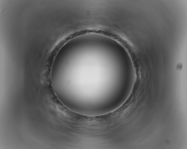 X0000092291256200709141252
