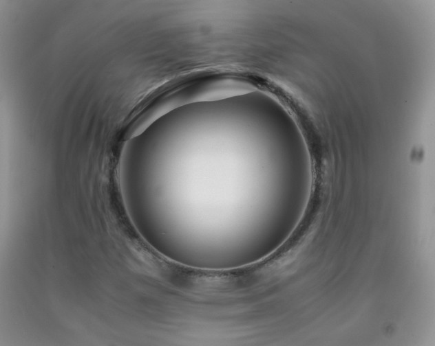 X0000092291257200709141252