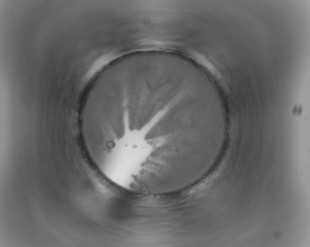 X0000092291259200709141252