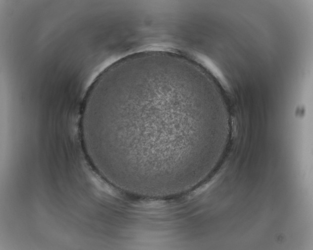 X0000092291260200709141252