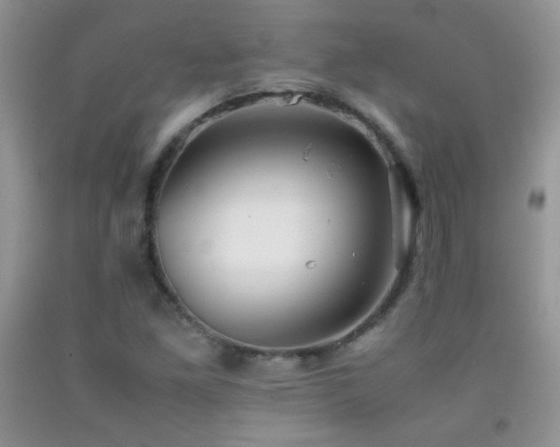 X0000092291261200709141252