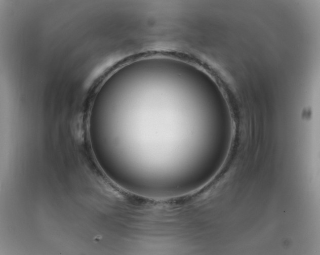 X0000092291262200709141252