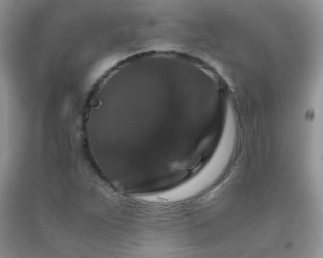 X0000092291263200709141252