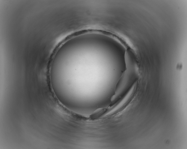 X0000092291264200709141252