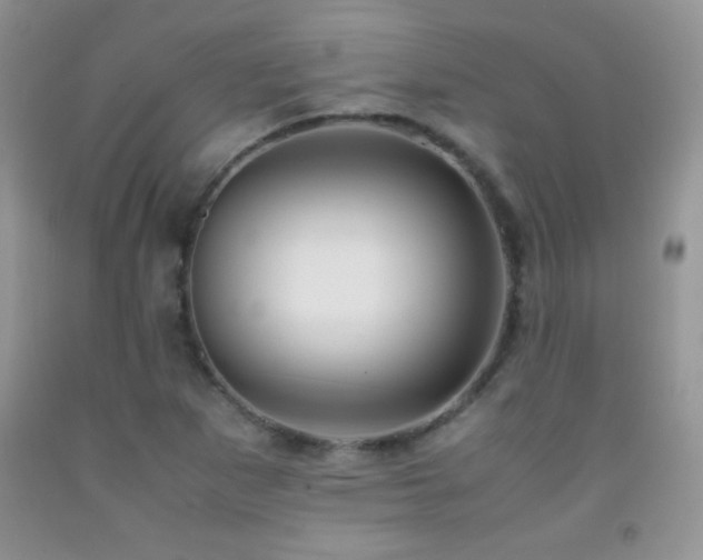 X0000092291265200709141252