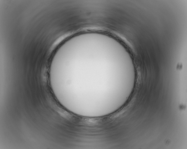 X0000092291266200709141252