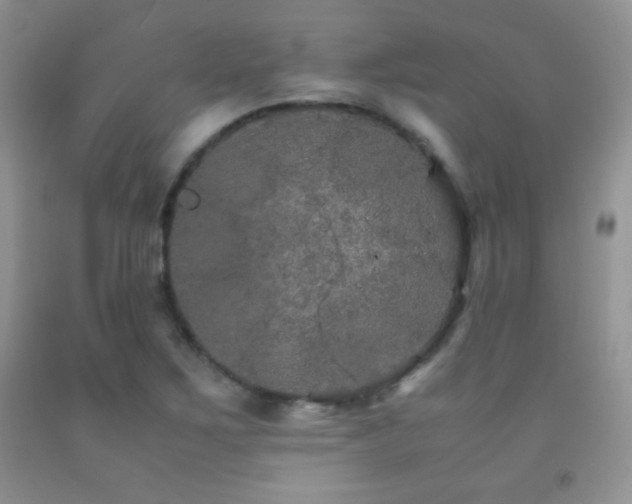 X0000092291267200709141252