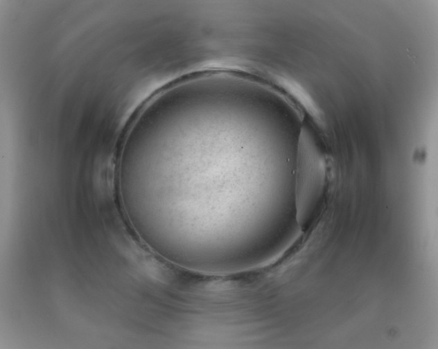 X0000092291268200709141252