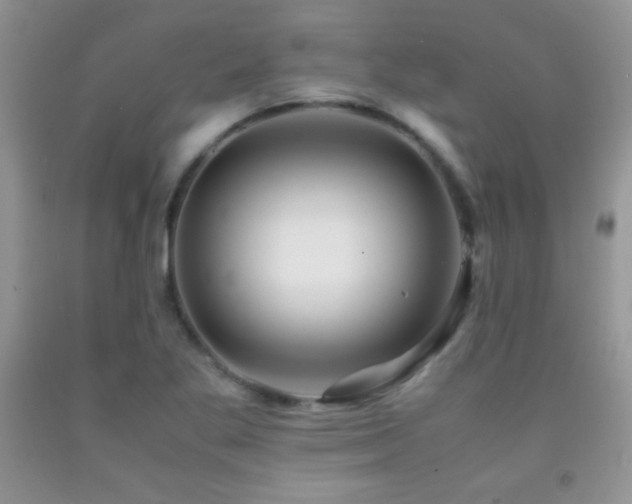 X0000092291269200709141252