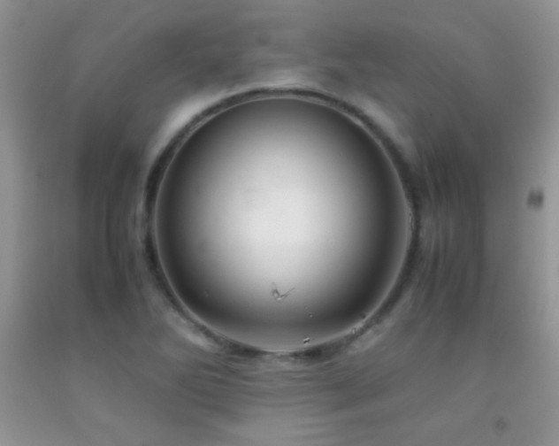 X0000092291270200709141252