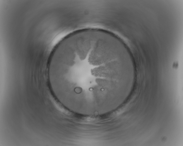 X0000092291271200709141252