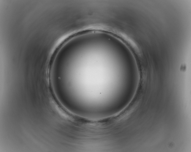 X0000092291272200709141252